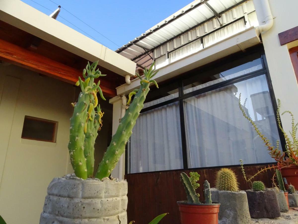 Casa Cactus Cafayate Hotel ภายนอก รูปภาพ