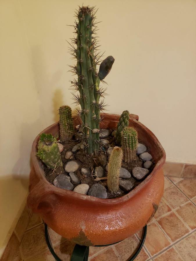 Casa Cactus Cafayate Hotel ภายนอก รูปภาพ